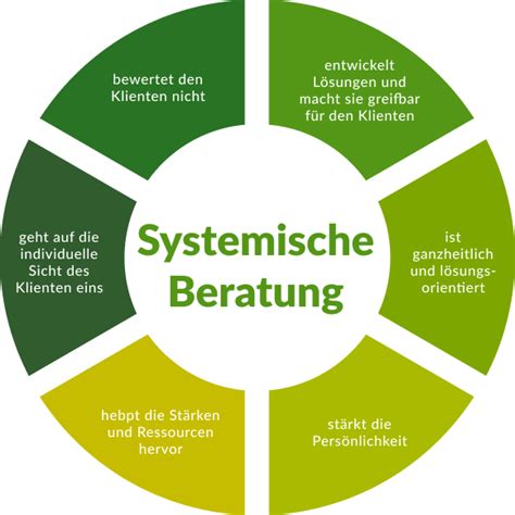 Systemische Beratung .